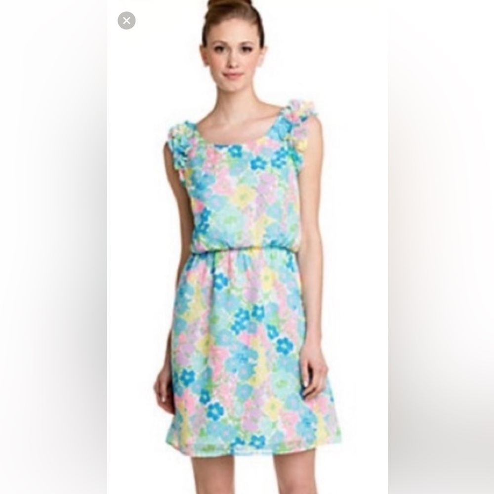 Lilly Pulitzer Sleeveless Dress Small